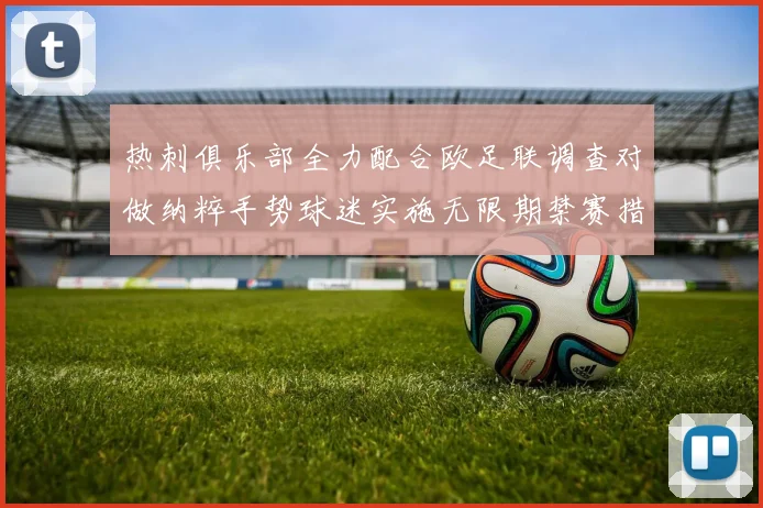 热刺俱乐部全力配合欧足联调查对做纳粹手势球迷实施无限期禁赛措施