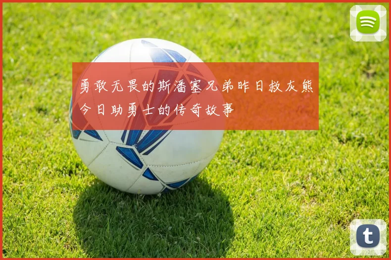 勇敢无畏的斯潘塞兄弟昨日救灰熊今日助勇士的传奇故事