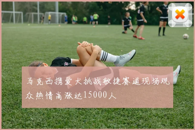 马克西携爱犬挑战敏捷赛道现场观众热情高涨达15000人