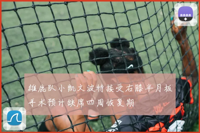 雄鹿队小凯文波特接受右膝半月板手术预计缺席四周恢复期